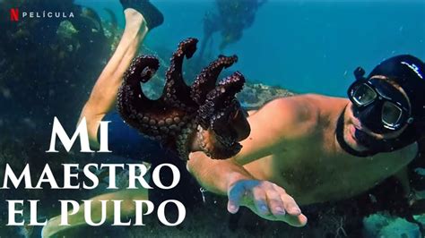 pulpo 69|pulpo 69 espanol Search